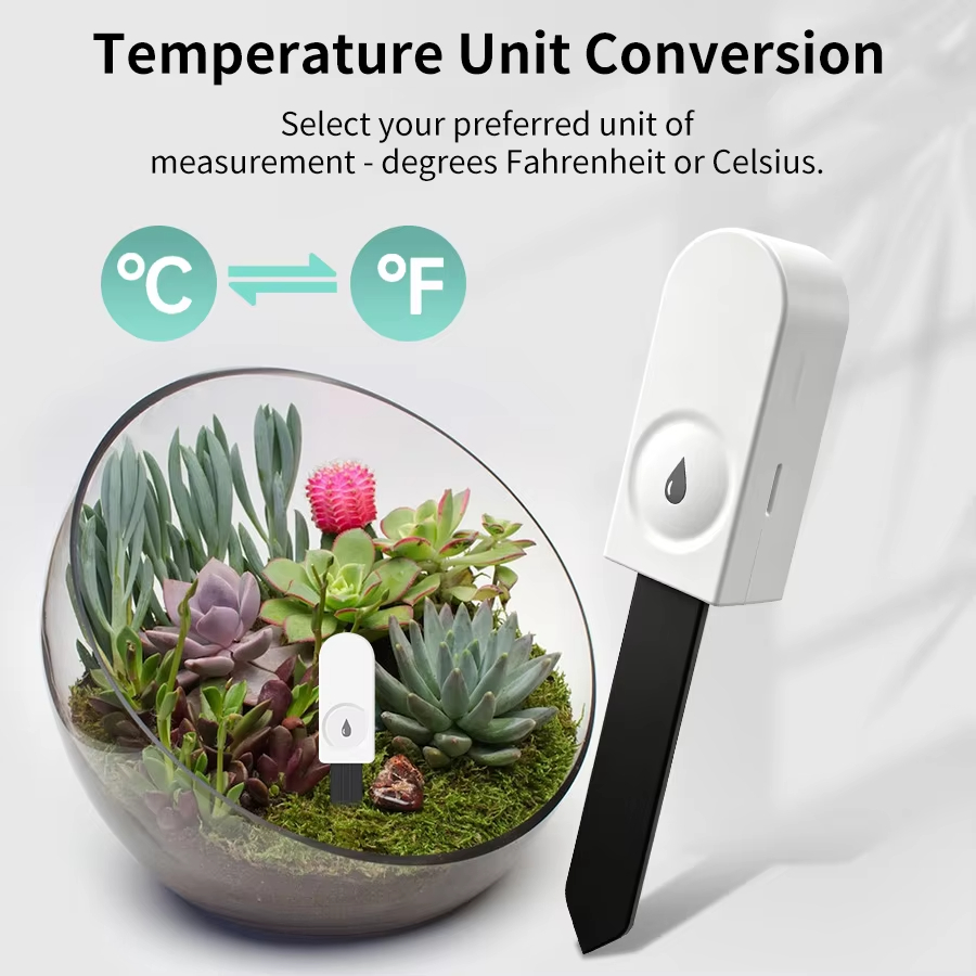 Zigbee 3.0 Pflanzenmonitor Bod – Smart Soil Sensor Bewertung und Preis