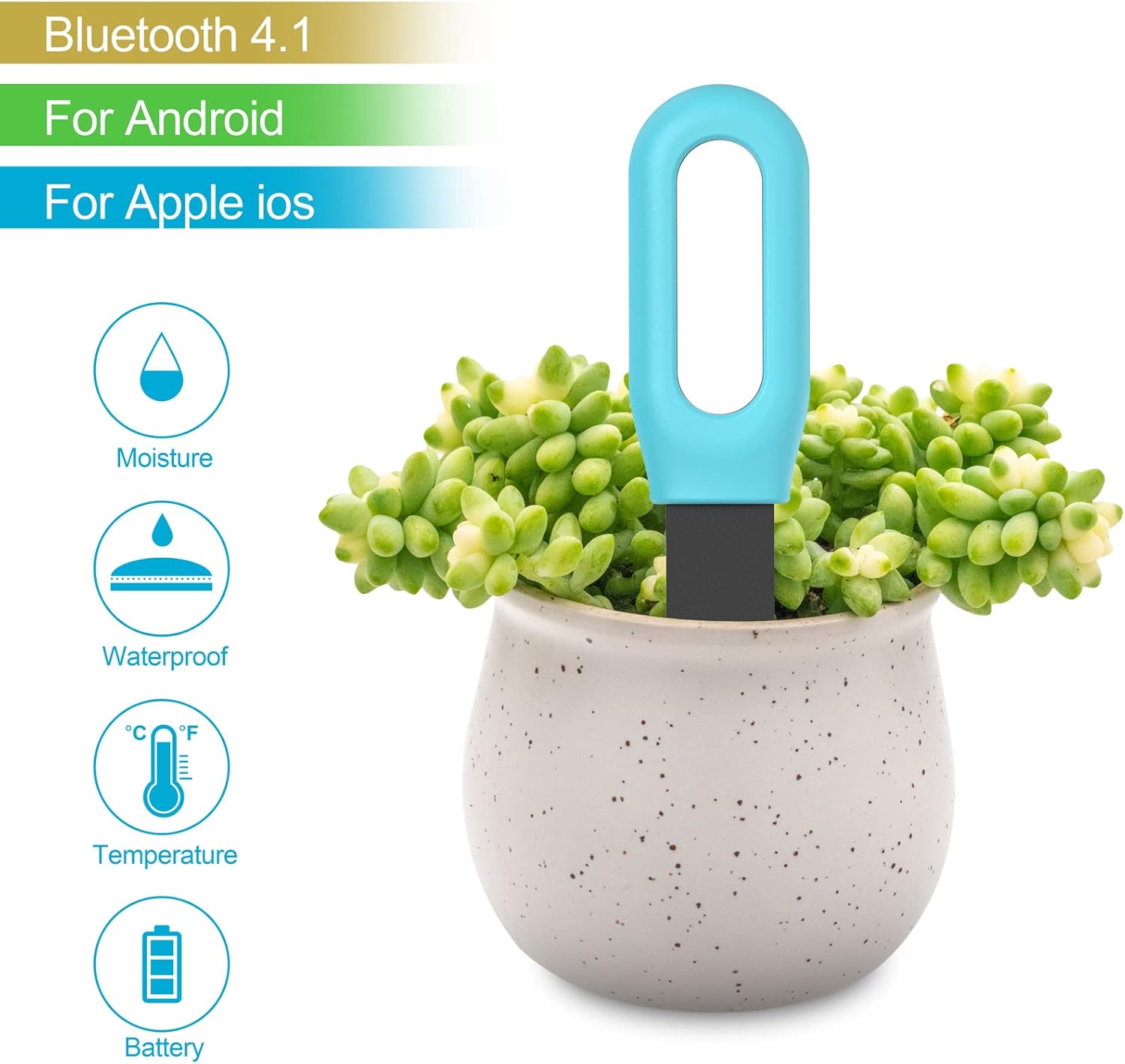 Tuya Bluetooth Zigbee Intellig – Soil Test Digital Bewertung und Preis