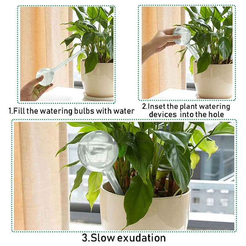 5/10PCS Automatische Pflanzen  – Smart Garden Technology Bewertung und Preis