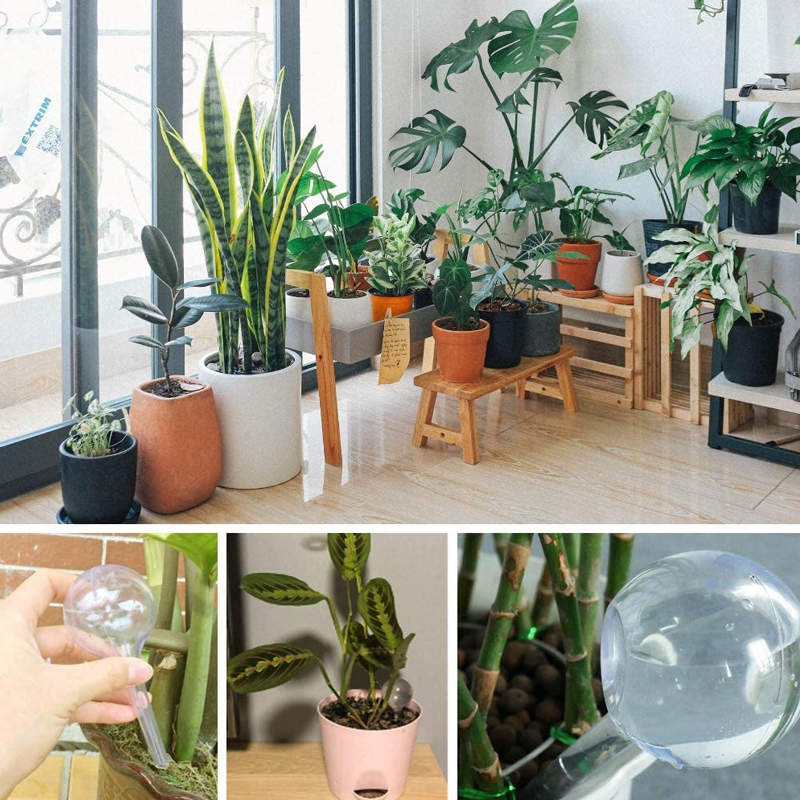 5/10PCS Automatische Pflanzen  – Smart Garden Technology Bewertung und Preis